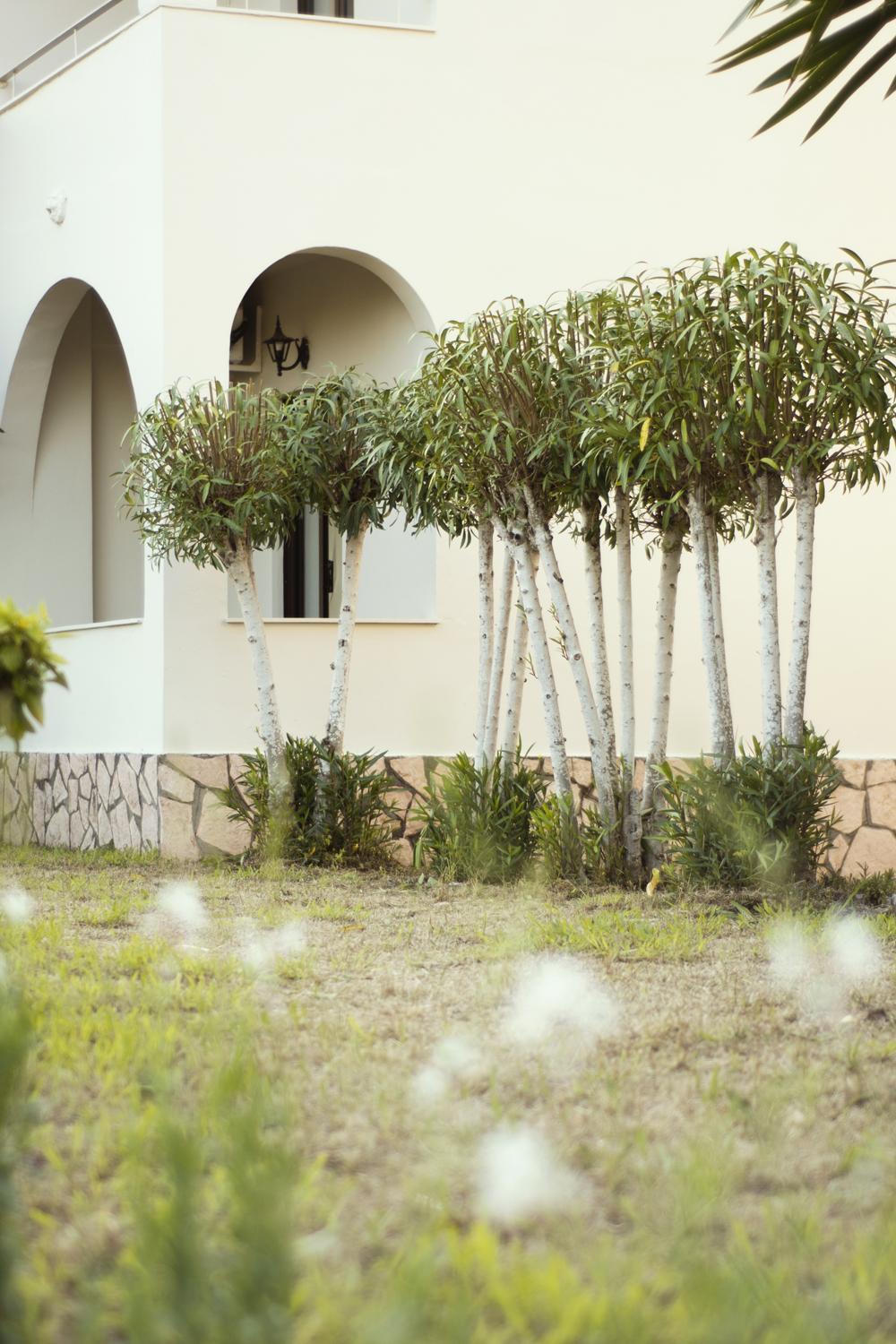Appartamento Parakladi Seaside Retreat Lefkimmi  Esterno foto